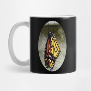 Monarch Butterfly Mug